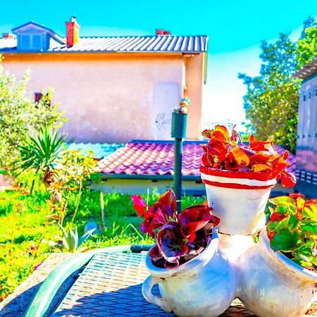 Vacation Home Grill & Chill With 350M2 Garden With Bbq Novi Vinodolski Zewnętrze zdjęcie